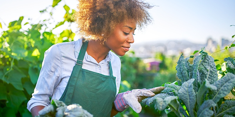 National Fresh Fruit and Vegetable Month: Benefits of Gardening