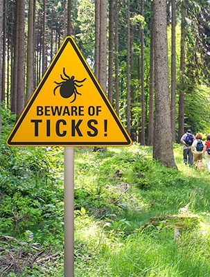 Beware of Ticks! sign in the woods