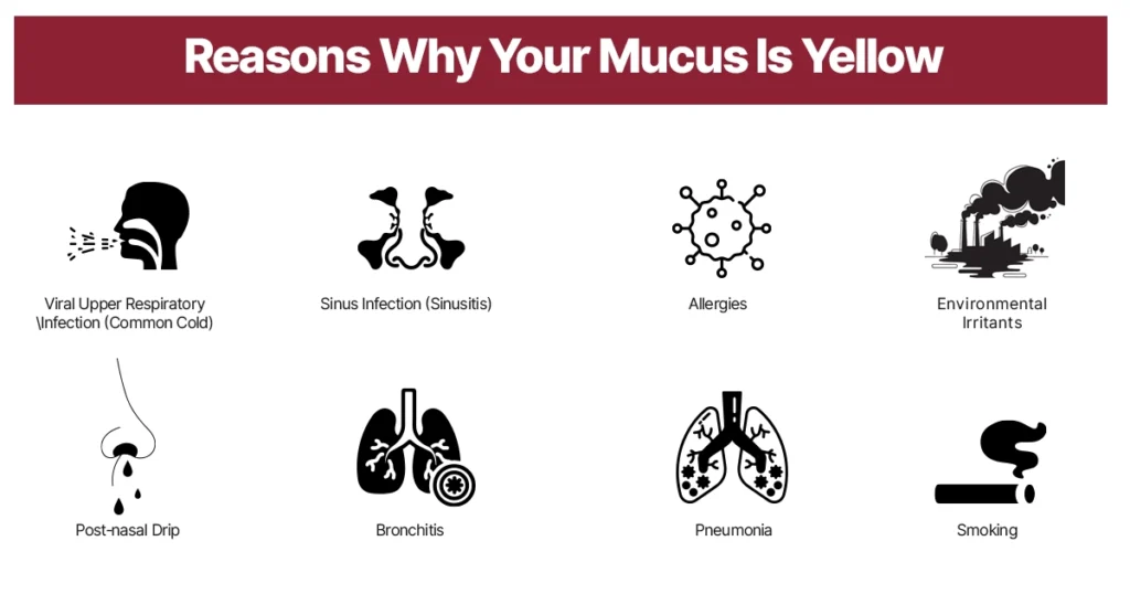Infographic showing common medical and environmental reasons for yellow mucus.