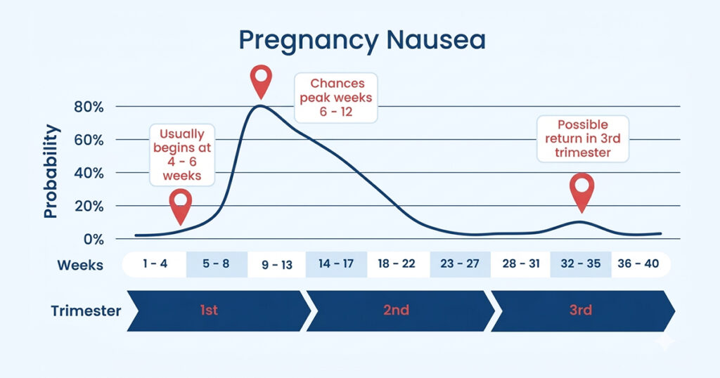 A graph showing the probability of pregnancy nausea over 40 weeks, peaking between weeks 6 and 12 of the first trimester.