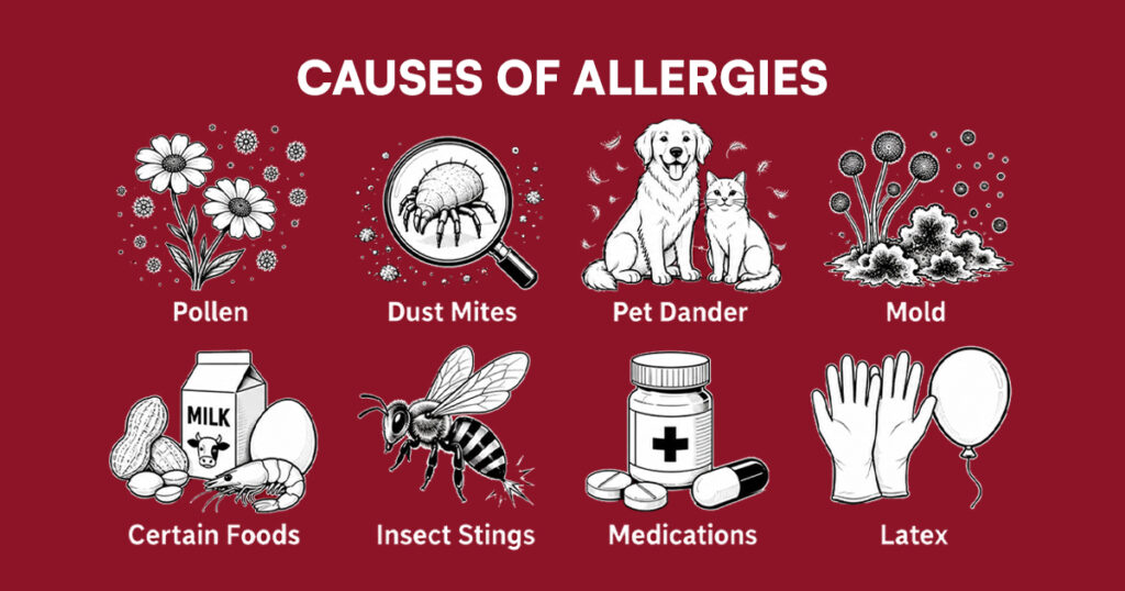 Infographic of common allergy causes